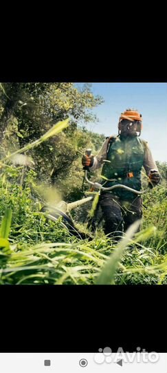 Покос травы триммером