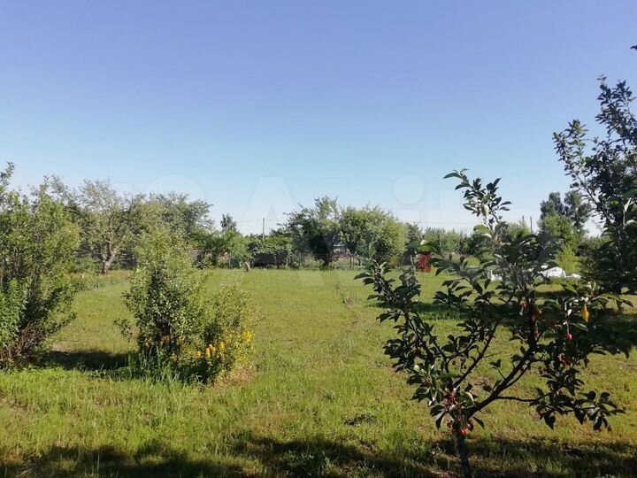 Участок 8 сот. (СНТ, ДНП)