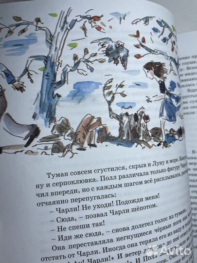 «Серебрянка, или Напевы морской раковины» Элинор Ф