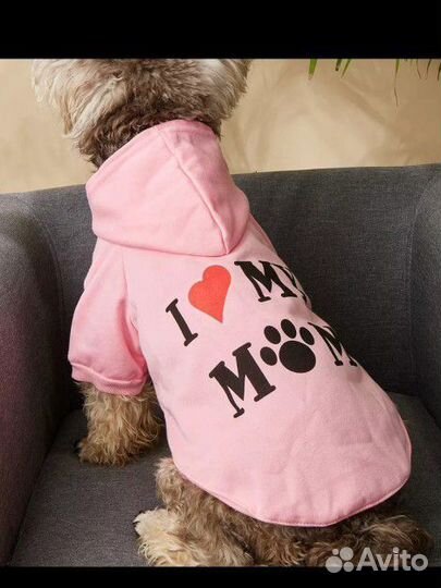 Худи для собак
