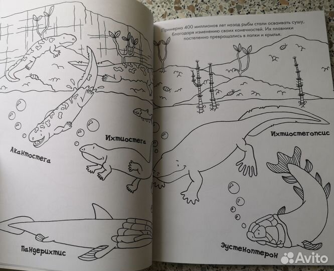 Новая раскраска ид Нигма Цветные динозаврики 64стр