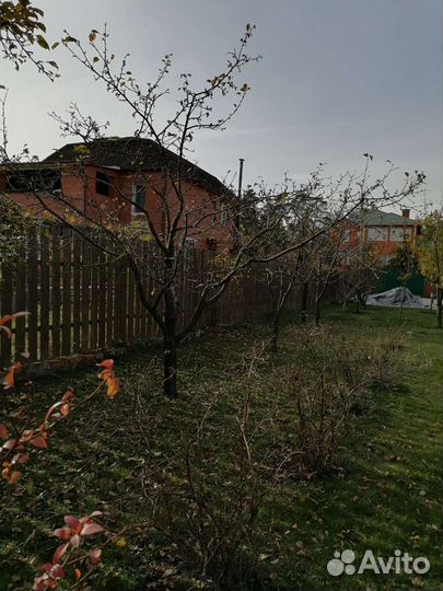 Сезонная обрезка плодовых деревьев(кронирование, с