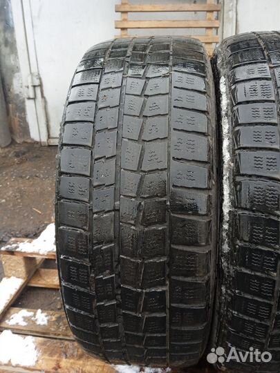 Dunlop Winter Maxx WM01 205/55 R16