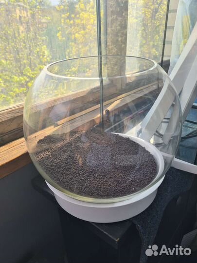 Флорариум, креветочник, аквариум