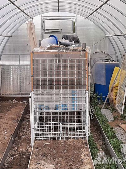 Брудер-курятник с выгулом