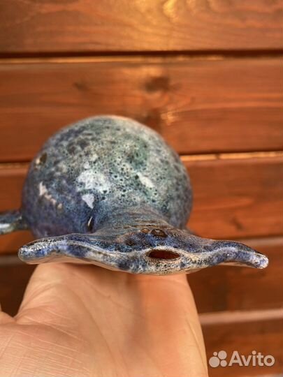 Акарина «кит»