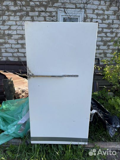 Холодильник наст