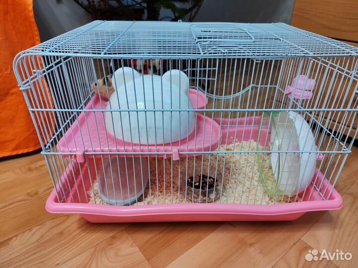 Клетка для грызунов