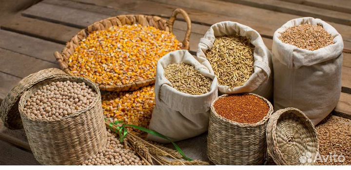 Качественный комбикорм