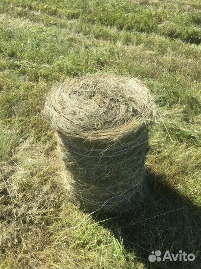 Продам сено в рулонах