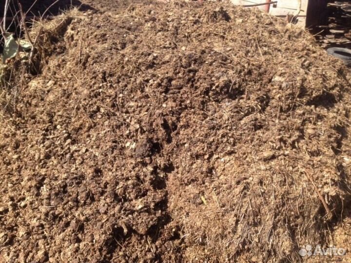 Перегной конский