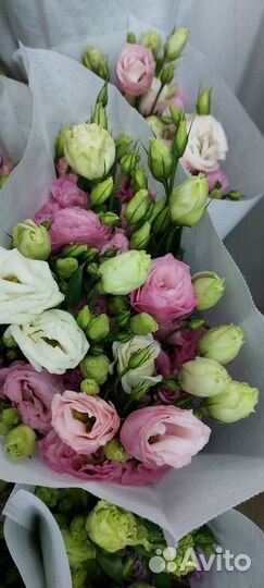 Букет Эустома