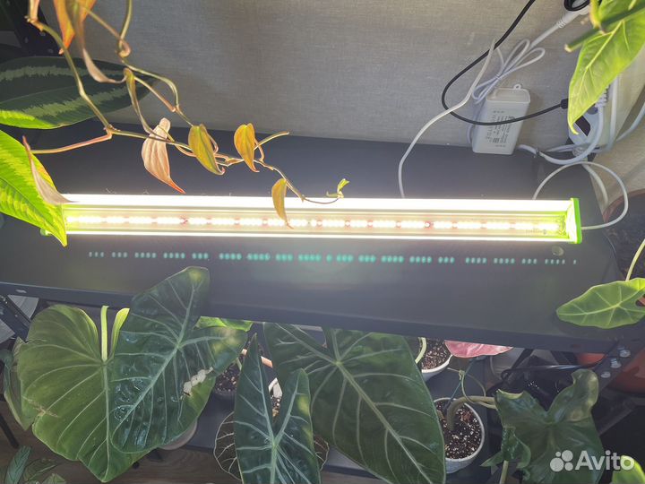 Фито лампа minifermer бу