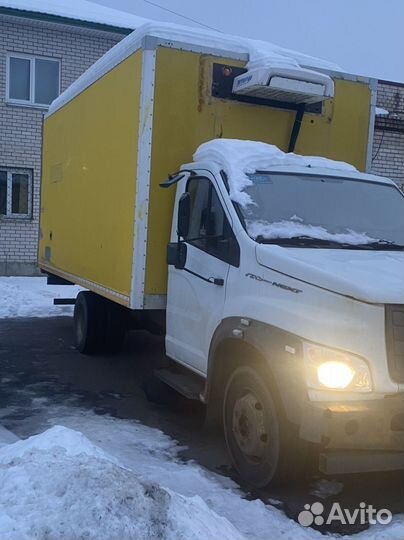 Газон Некст