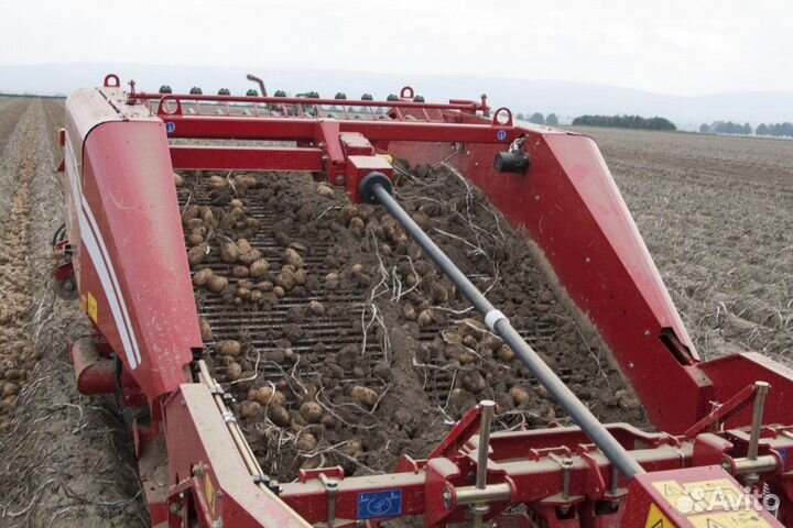 Копатель корнеплодов Grimme WR 200, 2023