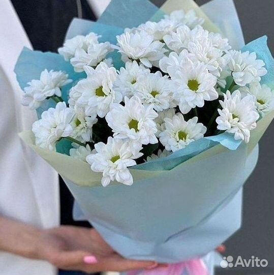 Доставка букетов и цветов. Хризантема