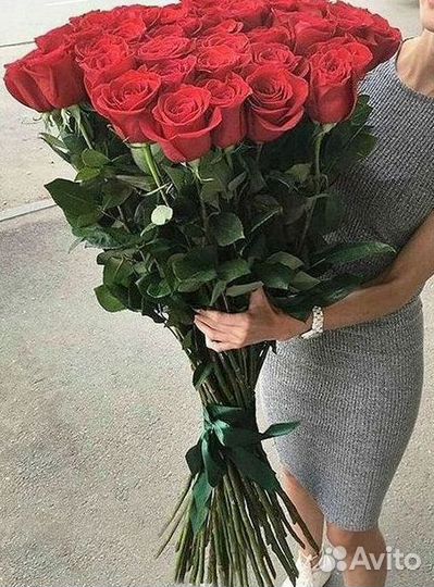 Высокие розы Гигантские розы 110