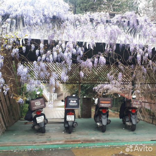 Курьер Мото Доставка Сочи Адлер Сириус розахутор