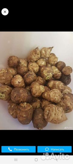 Топинамбур, аспарагус