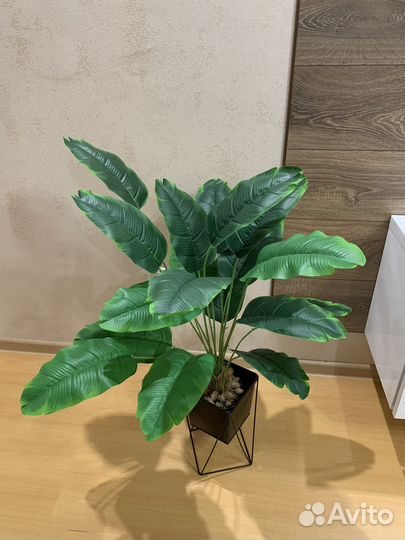 Искусственная пальма. Стрелиция искусственная