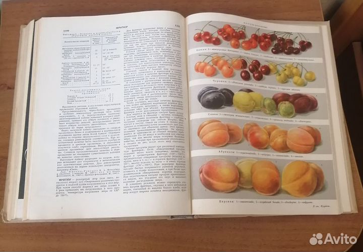 Краткая энциклопедия домашнего хозяйства 1969 1979