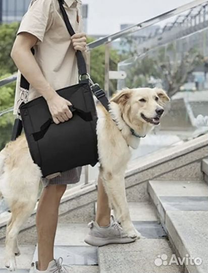 Упряжь-шлейка для неходящих собак