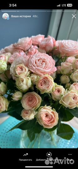 Кустовые розы