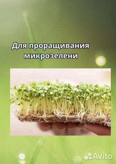 Коврик кокосовый для терратиума, проращивания