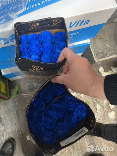 Синия роза