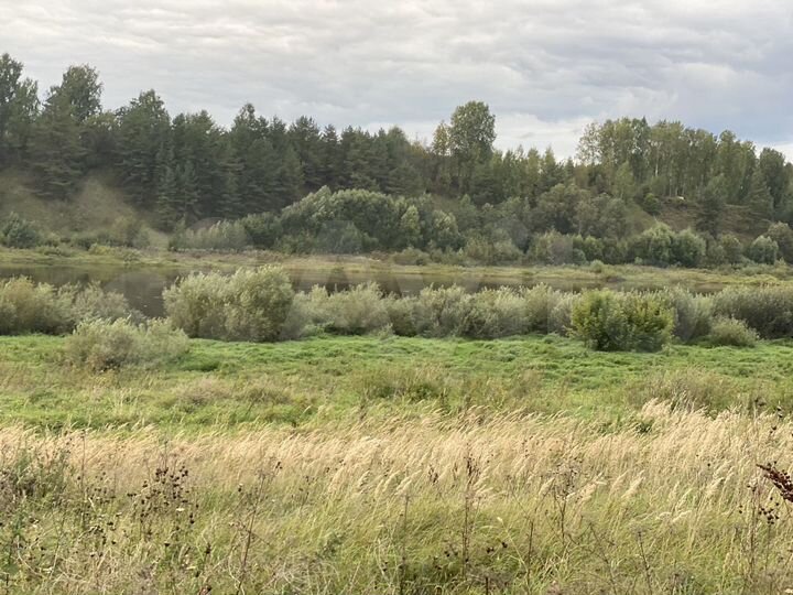 Участок 1,24 га (СНТ, ДНП)