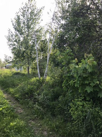 Участок 9 сот. (СНТ, ДНП)