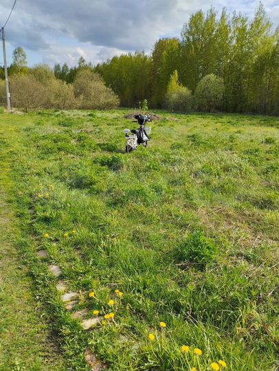 Участок 12 сот. (СНТ, ДНП)