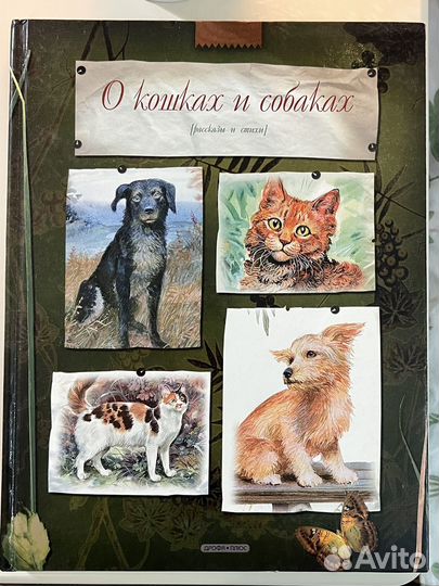 О кошках и собаках рассказы