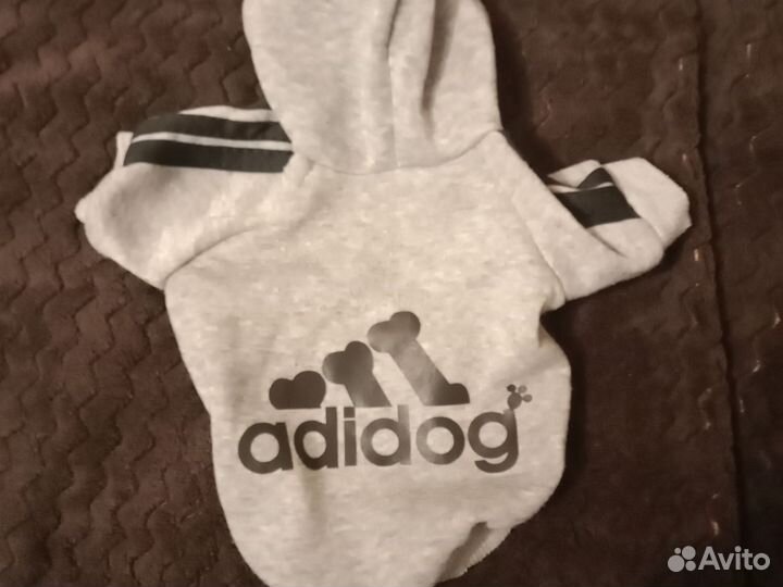 Одежда для маленьких собак