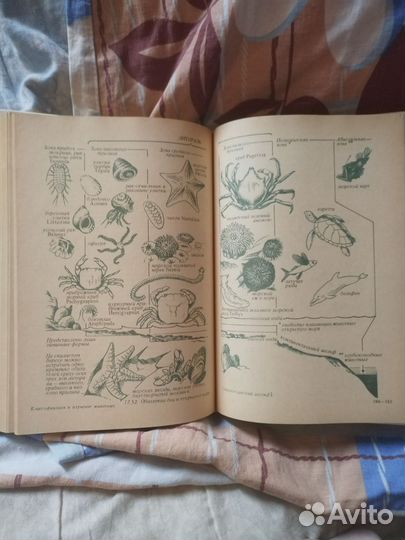 Книги о природе СССР