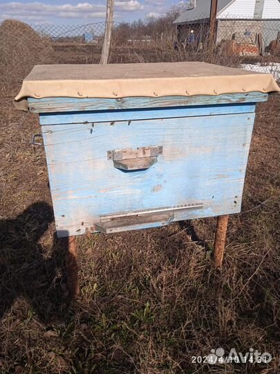 Улей для пчел