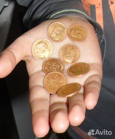 Металлодетектор XP ORX (Катушка 24*13 HF) в Твери