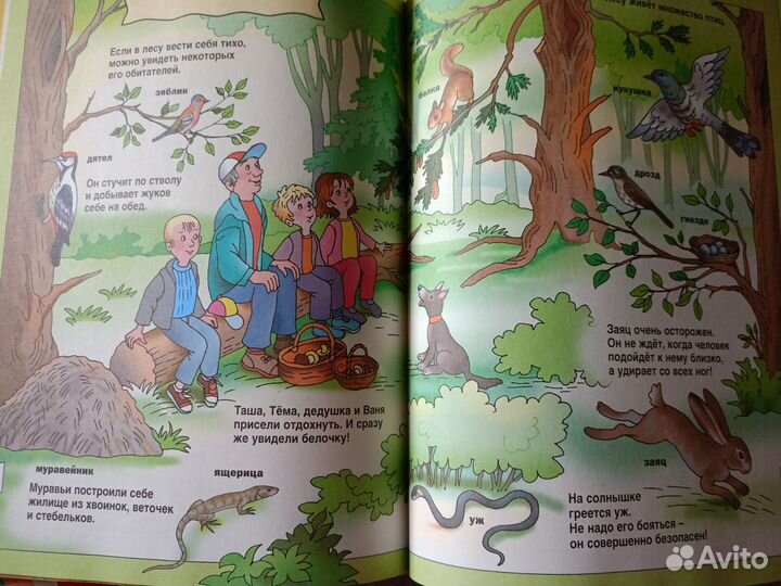 Книжки для малышей пакетом