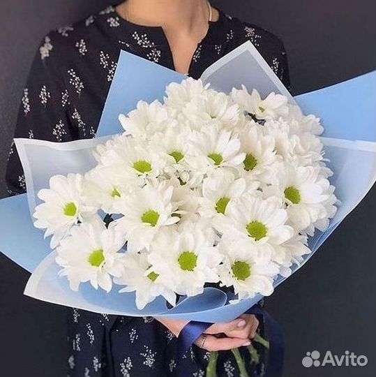 Хризантема Букет хризантем Доставка