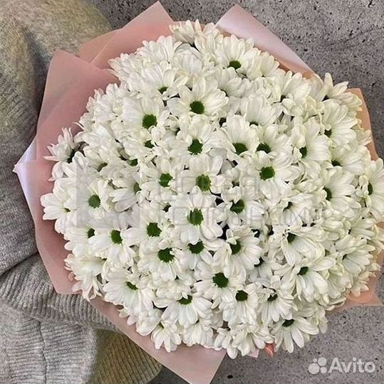 Хризантема Букеты с доставкой