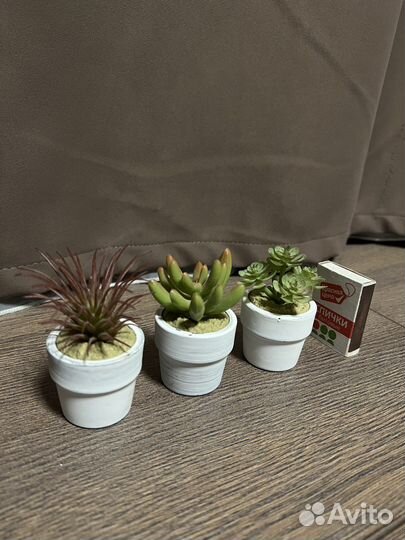 Искусственное растение Фейка IKEA суккуленты