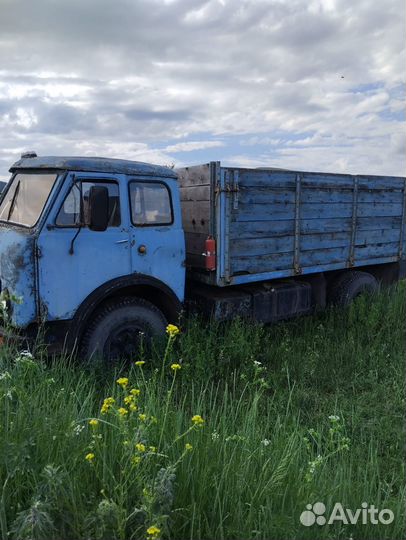 Пчелопавильон