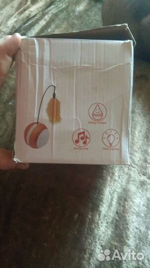 Кошачья игрушка