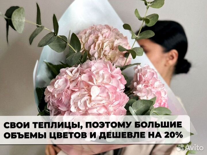 Гортензии с доставкой по Краснодару