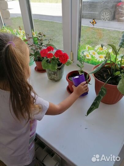 Частный детский садик