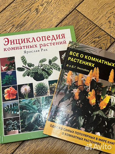 Энциклопедия о комнатных растениях
