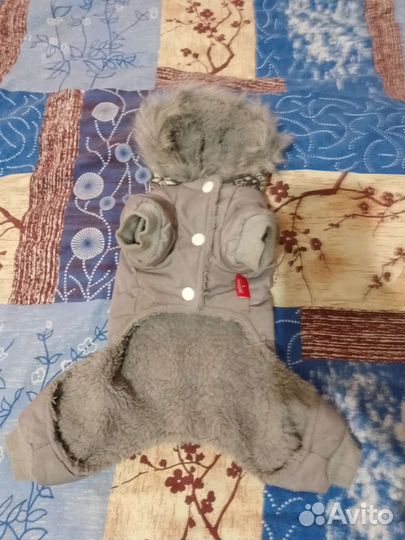 Одежда для маленьких собак