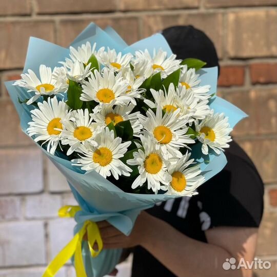 Ромашки оптом