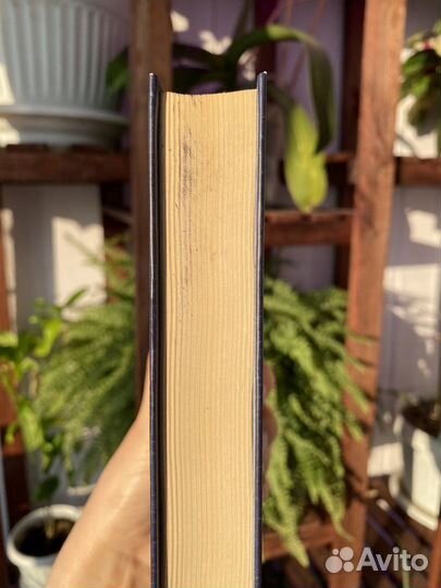 Сестра Керри. Теодор Драйзер