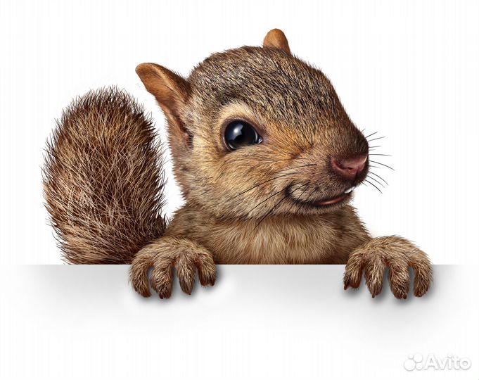 Курьер на личном автомобиле